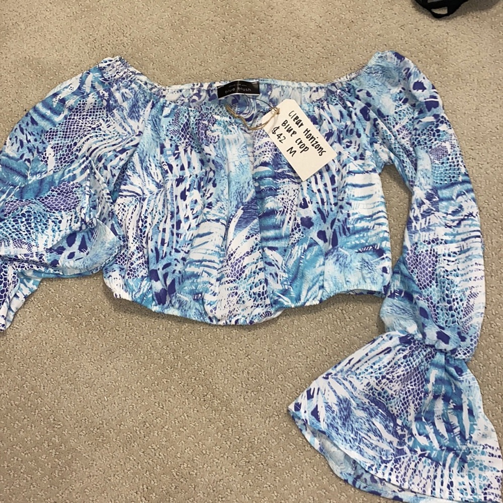 Blue Printed Crop top